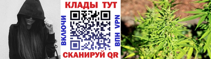 APVP Зима