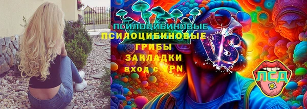 винт Майский