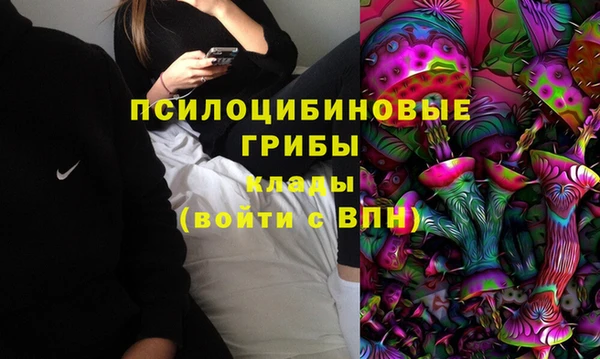 мяу мяу мука Медвежьегорск