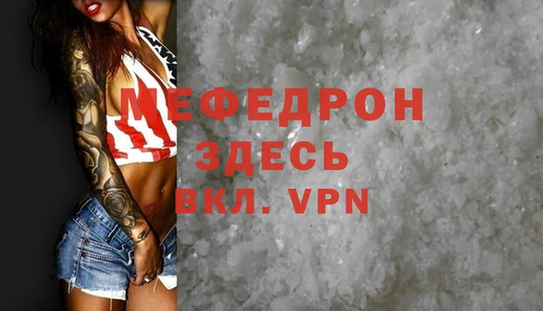 гидра Бердск