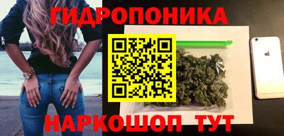 прущие крисы Гай