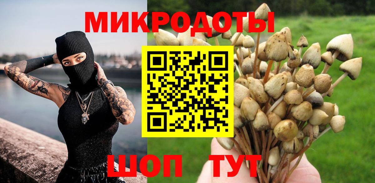 Галлюциногенные грибы GOLDEN TEACHER Зима