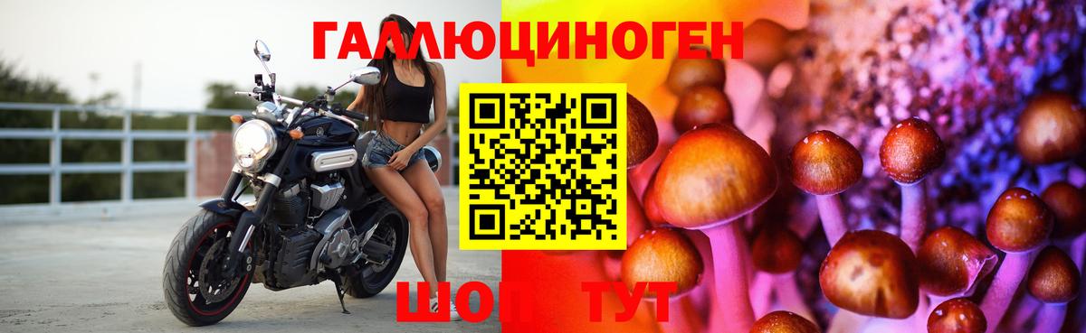 Псилоцибиновые грибы мухоморы  Вход с VPN  Зима 
